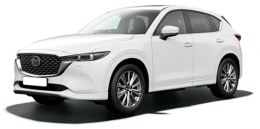 grid__cars-item